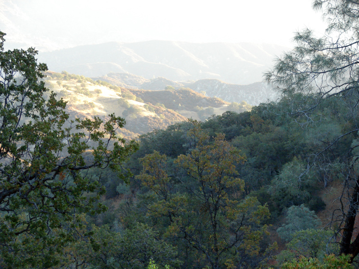 Priest Valley Scenery